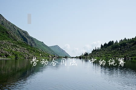 劳动合同法 中的统筹 劳动合同法 中的统筹